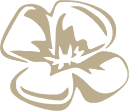 Hotel do Campo Madeira Island